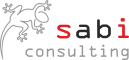 Sabi Consulting