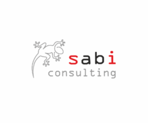 sabi consulting